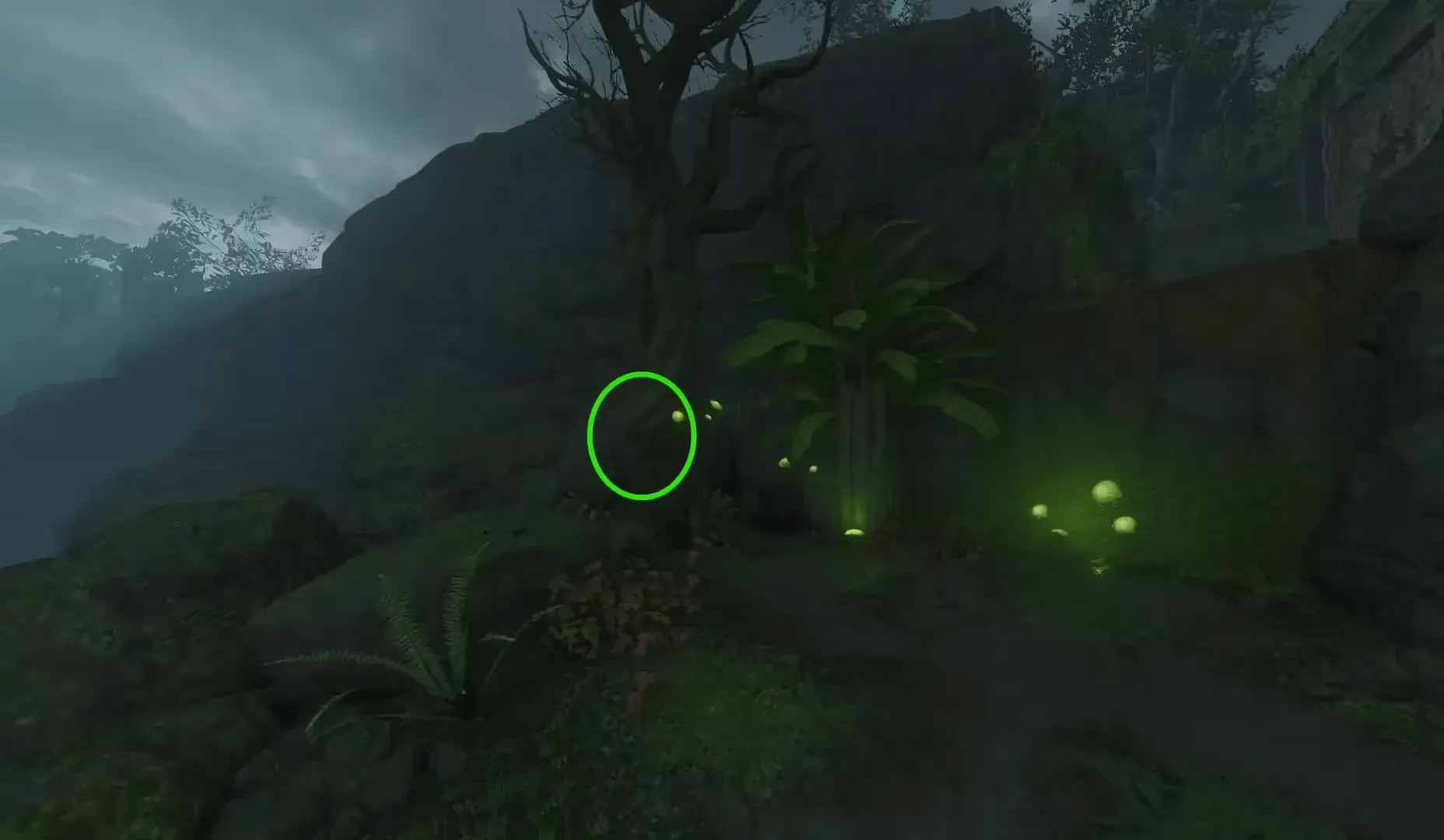 Shield frame: search the trees outside Lab B.