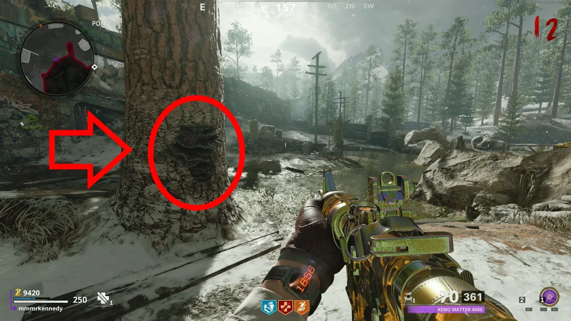 Bait a Megaton blast into this Pond-tree growth